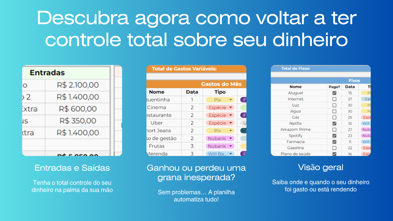 Prints da planilha: entradas e saídas, gastos do mês e visão geral dos fixos